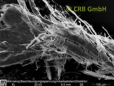 Immagine SEM crisotilo amianto in linoleum | © CRB Analysis Service GmbH