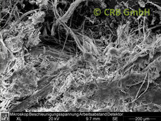 REM-afbeelding Chrysotielasbest in kinetisch zand | © CRB Analyse Service GmbH