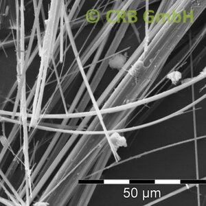 Image REM de l'actinolite | © © CRB Analyse Service GmbH