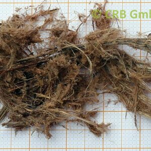 Image macroscopique d’amosite | © CRB Analyse Service GmbH