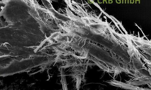 SEM-afbeelding chrysotiel asbest in kit | © CRB Analyse Service GmbH