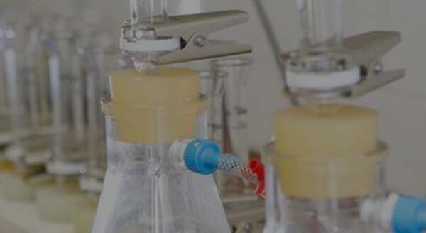 Service de gestion de la qualité et d'essais interlaboratoires | © CRB Analyse Service GmbH